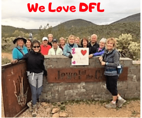 we love desert foothills library