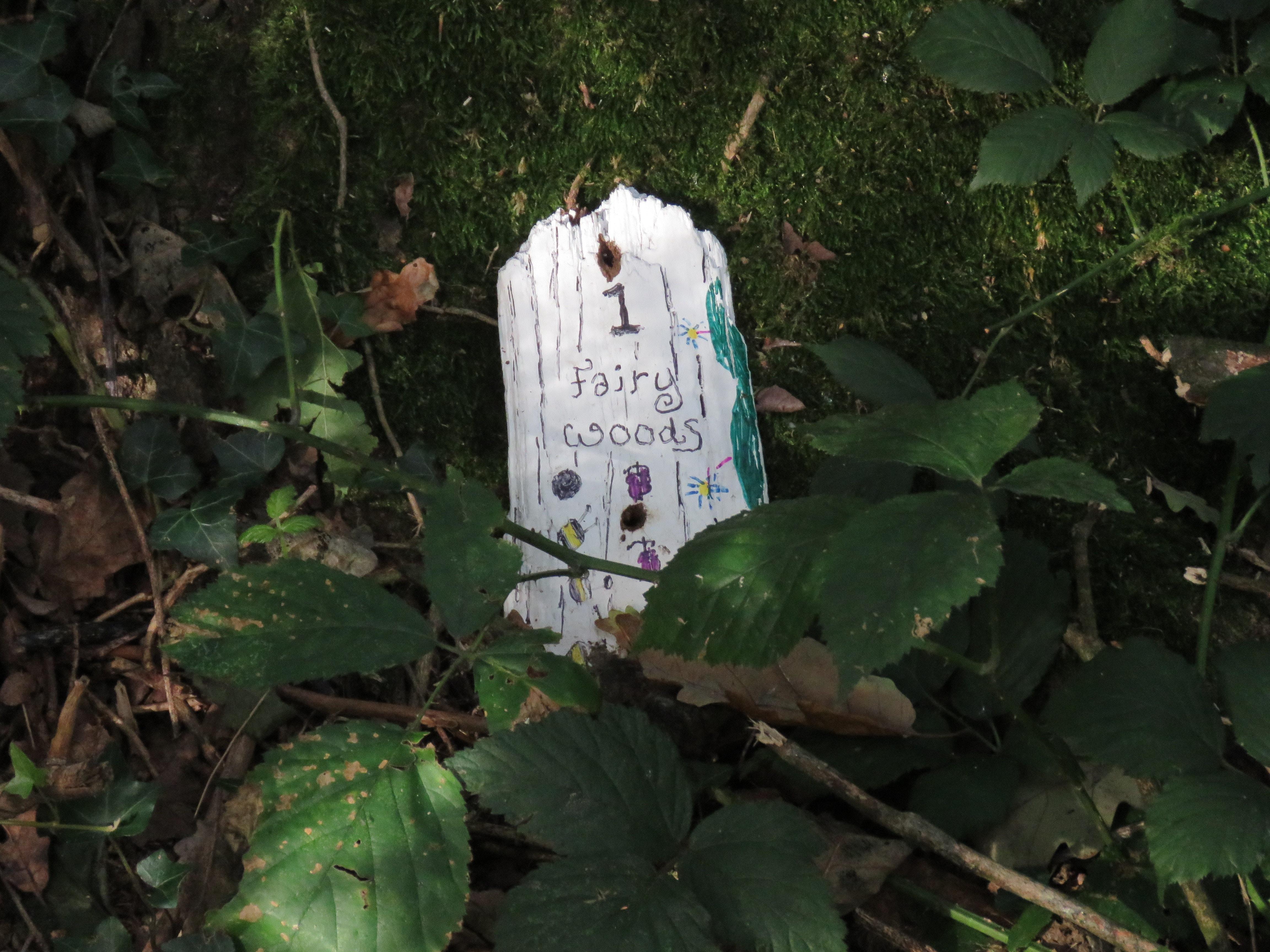 A white fairy door reads 1 Fairy Woods in a green forest