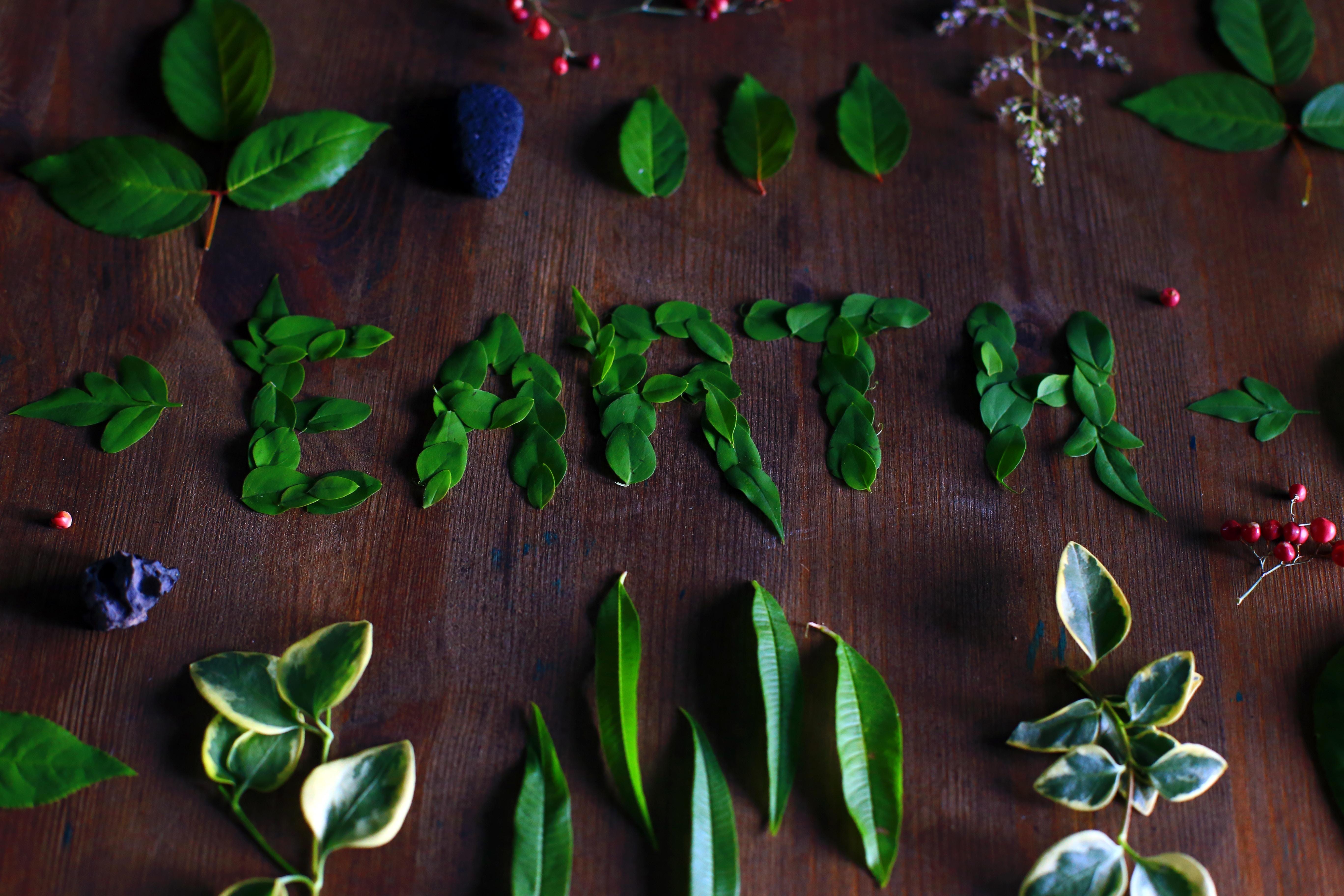 earth spelled out in green leaves, surrounded by green leaves and foliage
