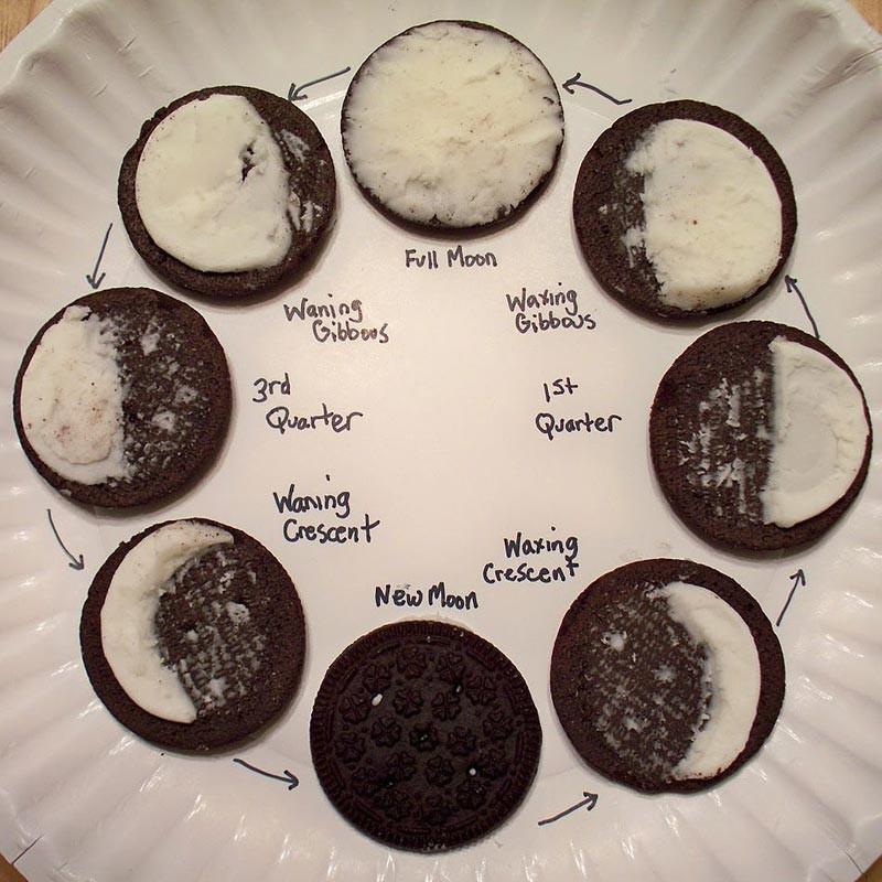 Oreos with icing eaten off to demonstrate the phases of the moon