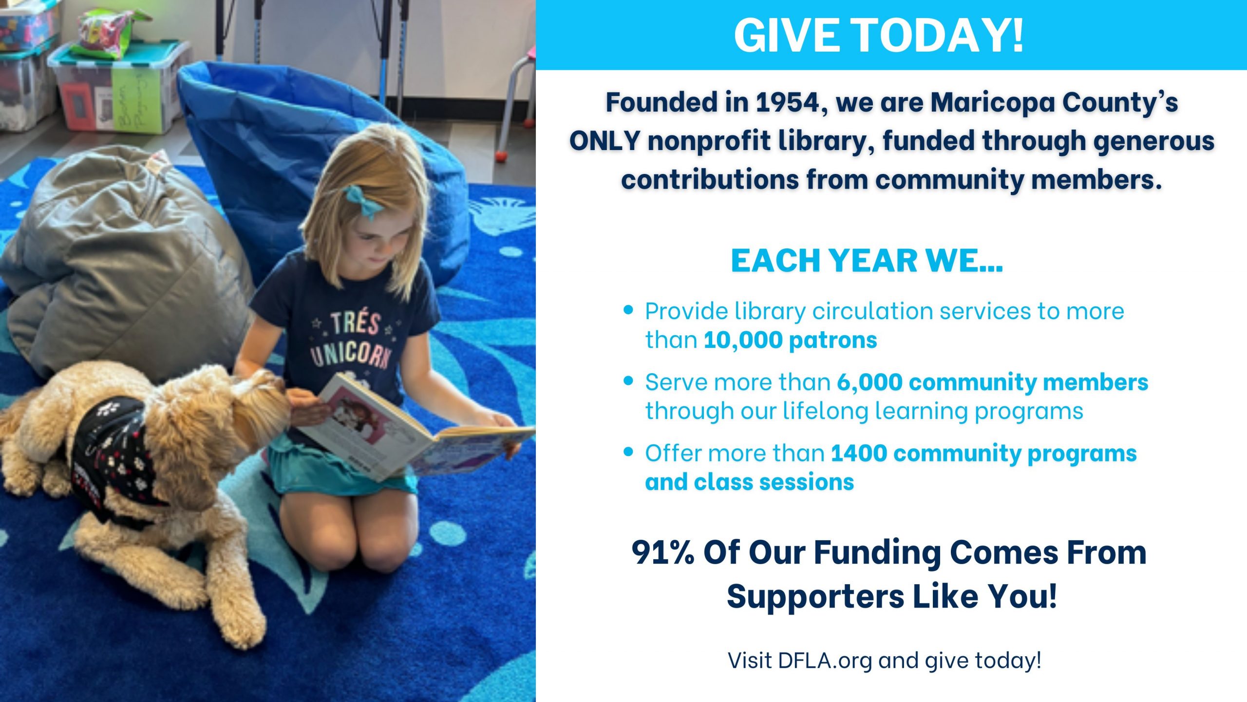 Donate to the desert foothills library