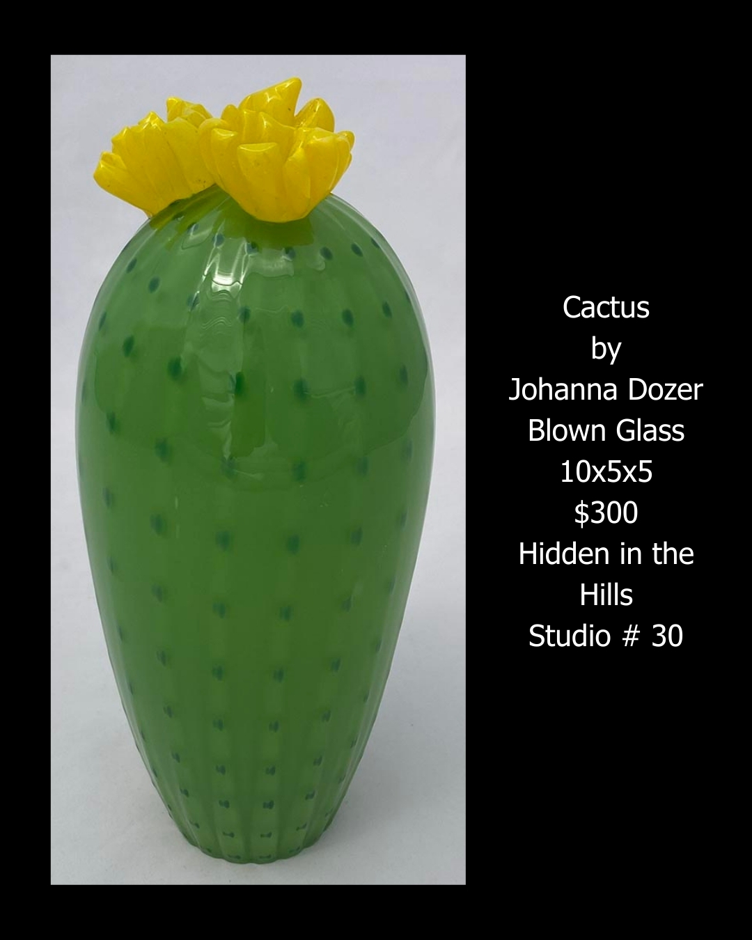 Cactus by Johanna Dozer