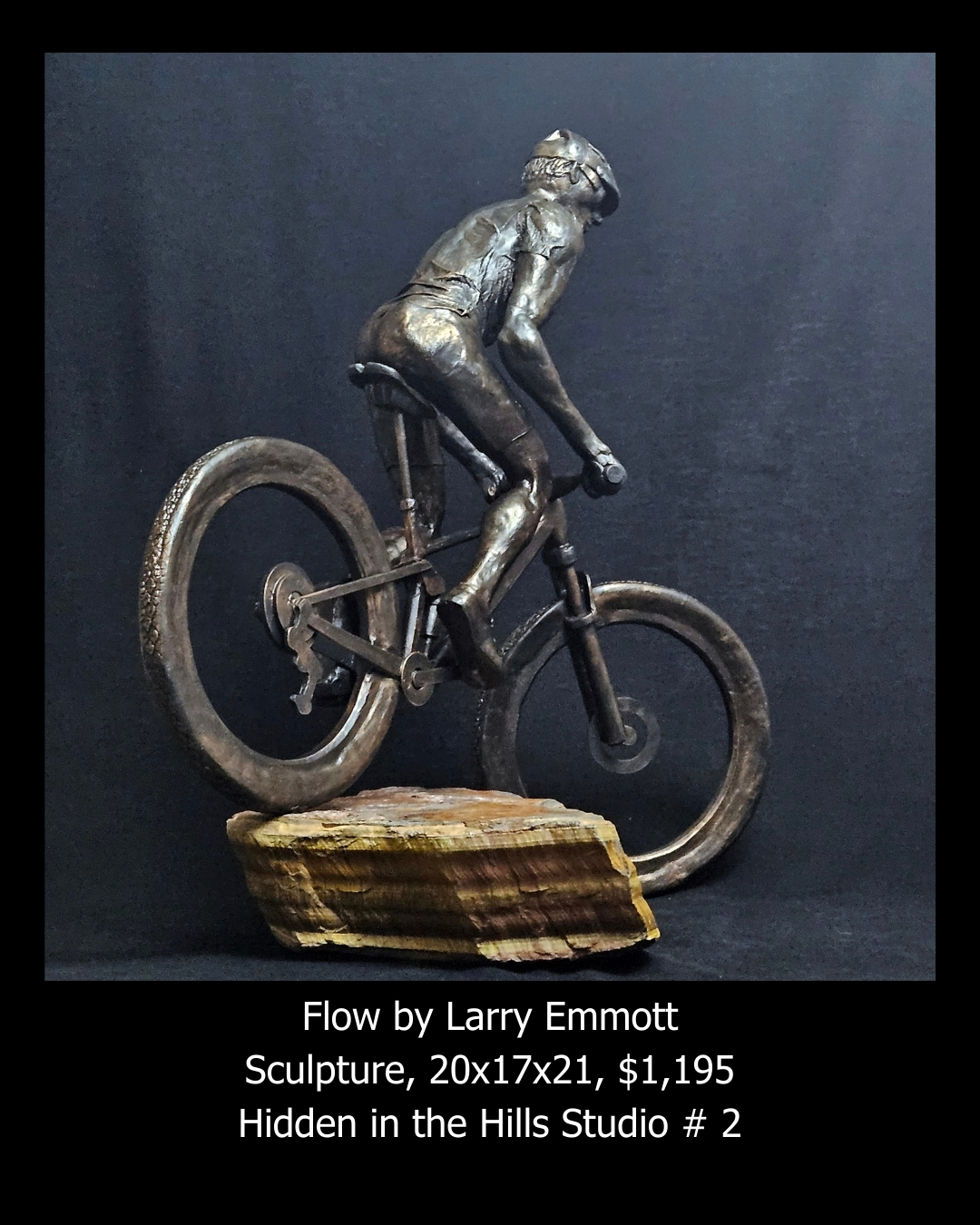 Flow by Larry Emmott