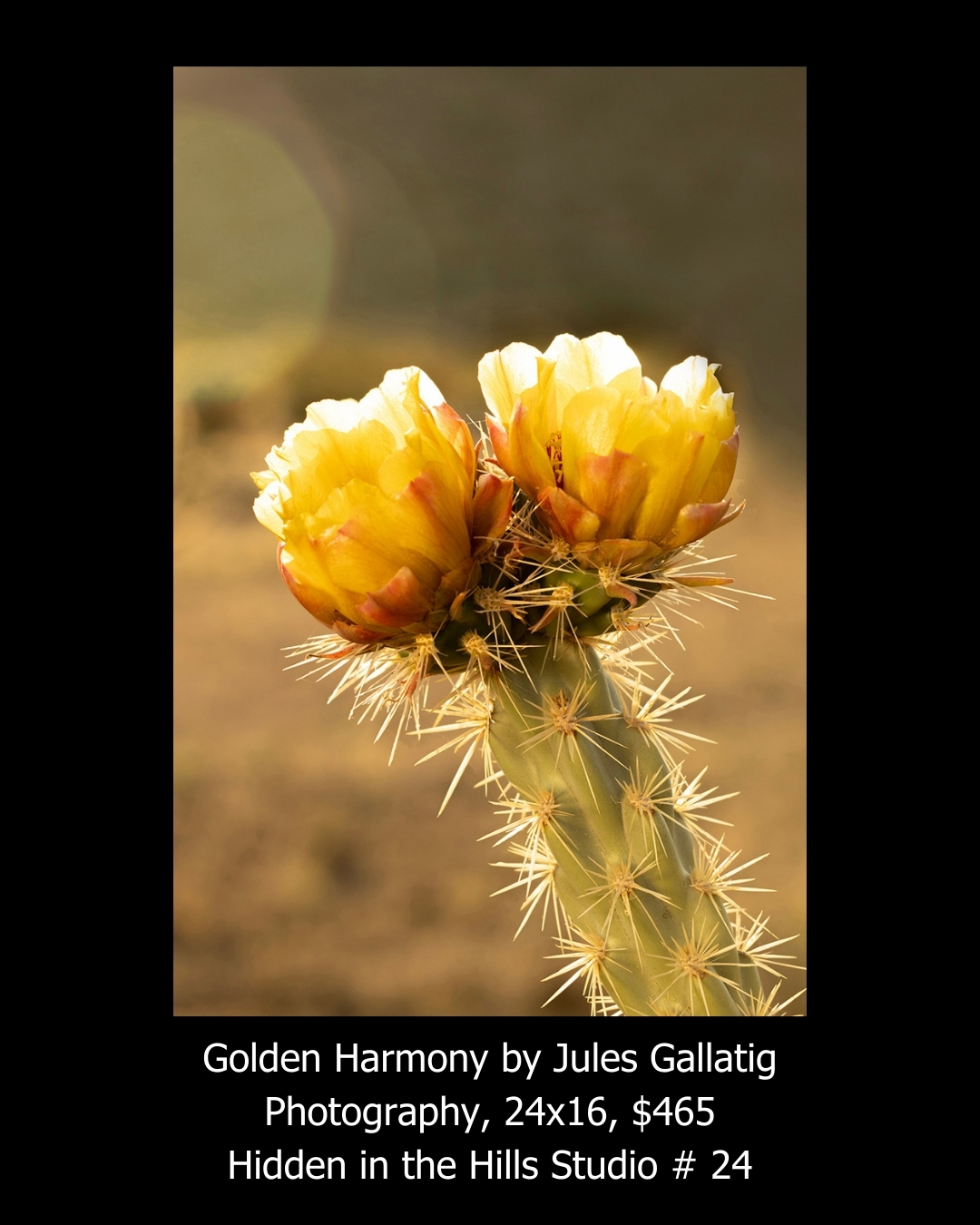 Golden Harmony by Jules Gallatig