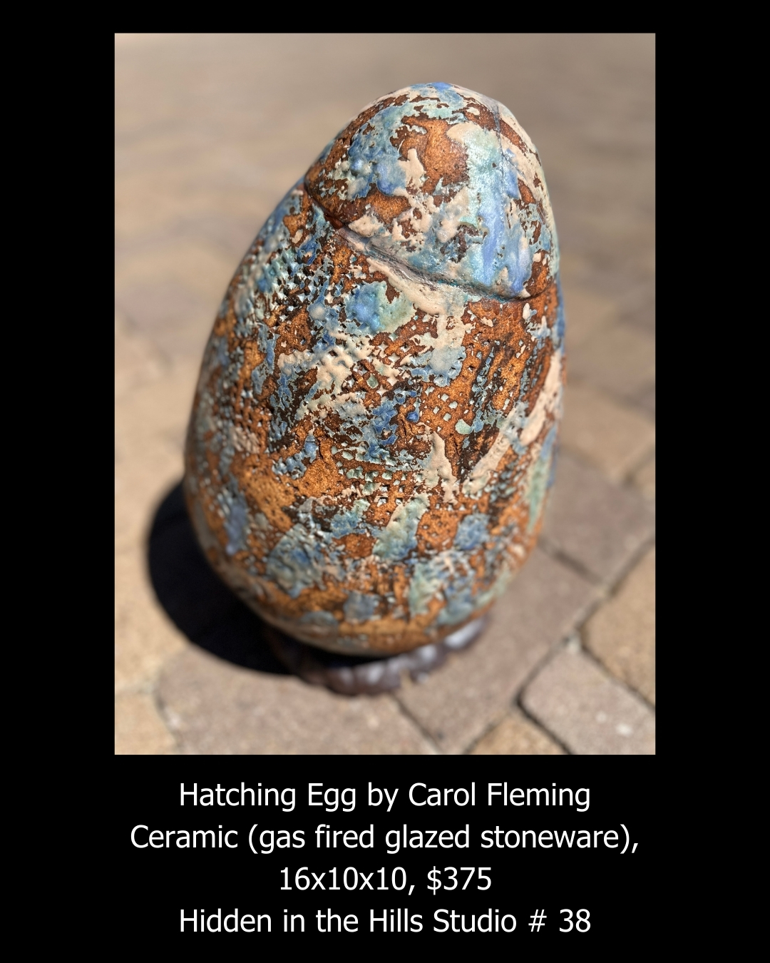 Hatching Egg by Carol Fleming