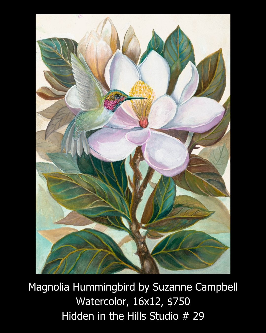 Magnolia Hummingbird by Suzanne Campbell