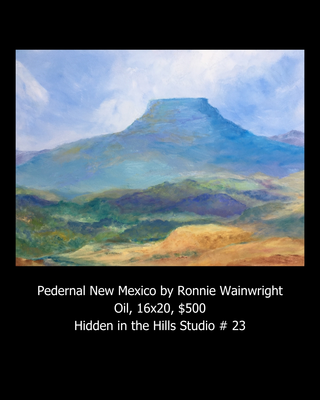 Pedernal New Mexico by Ronnie Wainwright