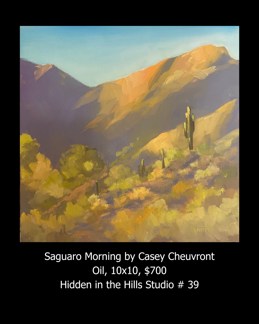 Saguaro Morning by Casey Cheuvront