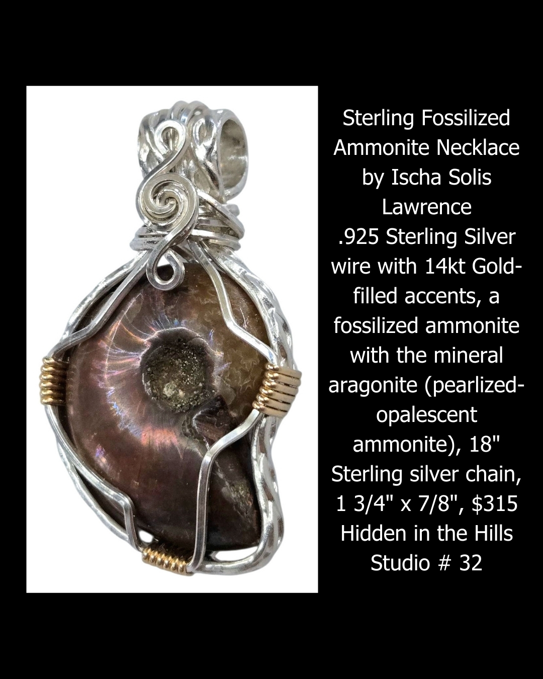Sterling Fossilized Ammonite Necklace by Ischa Solis Lawrence