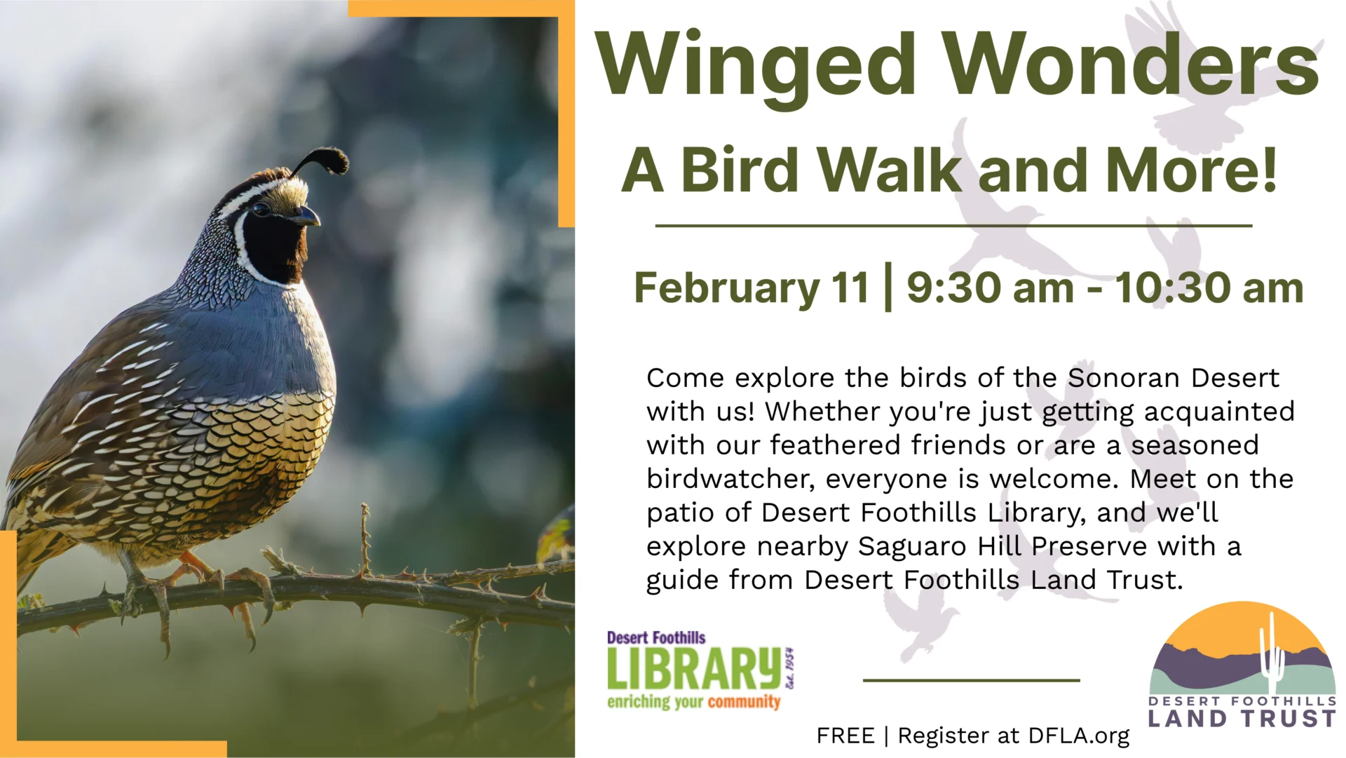 a bird walk at desert foothills library