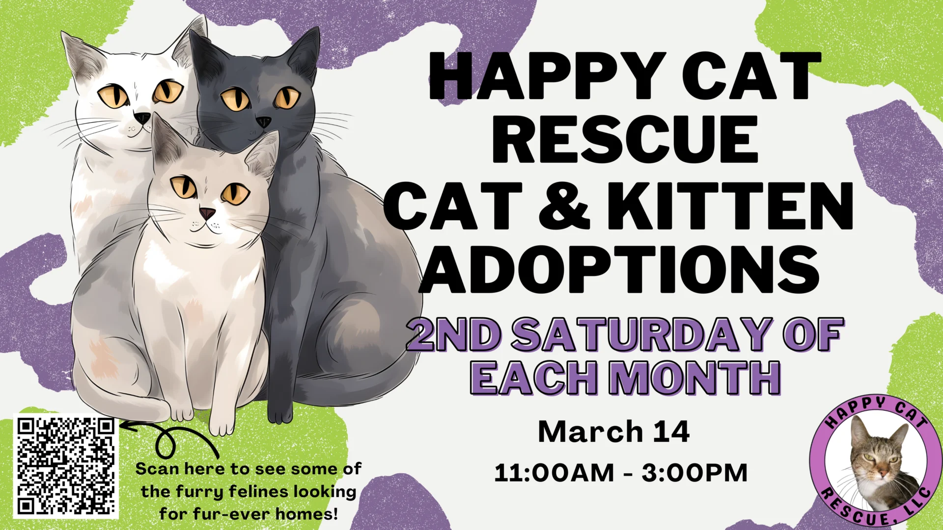 happy cat cat rescue at desert foothills library pet adoptions