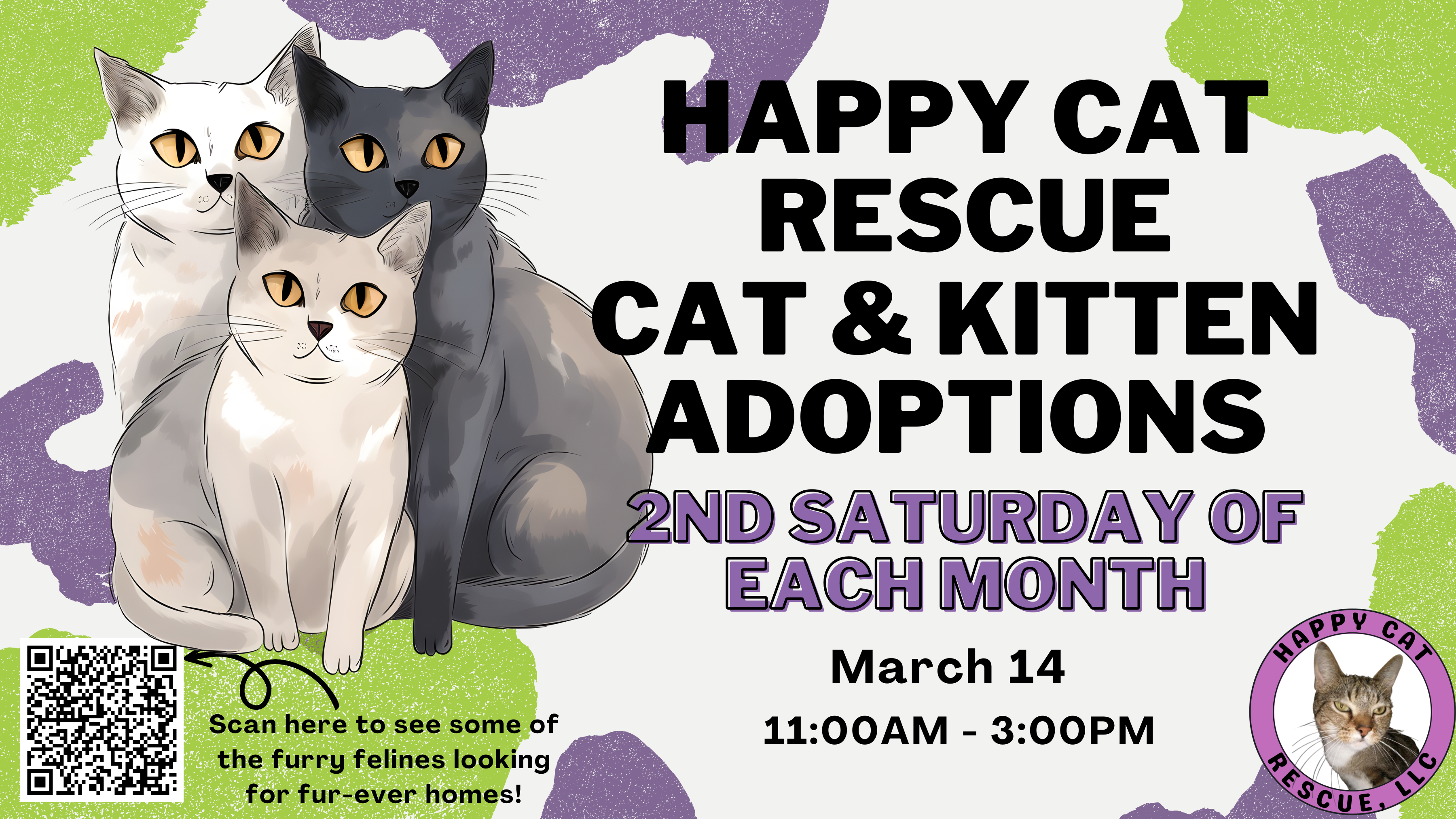 happy cat cat rescue at desert foothills library pet adoptions
