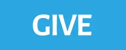 give to library